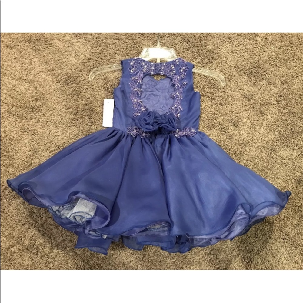 Girls Size 4 Blue Beaded Easter Pageant Special Occasion Flower girl Dress NWT - Picture 5 of 5